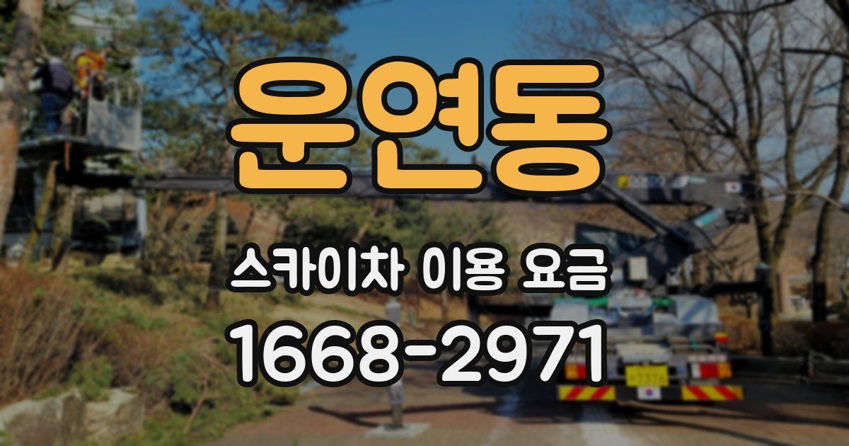 운연동 스카이차 이용 요금