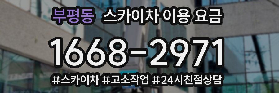 부평동 스카이차 이용 요금