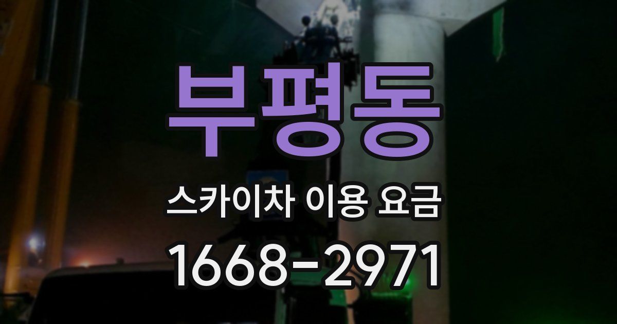 부평동 스카이차 이용 요금