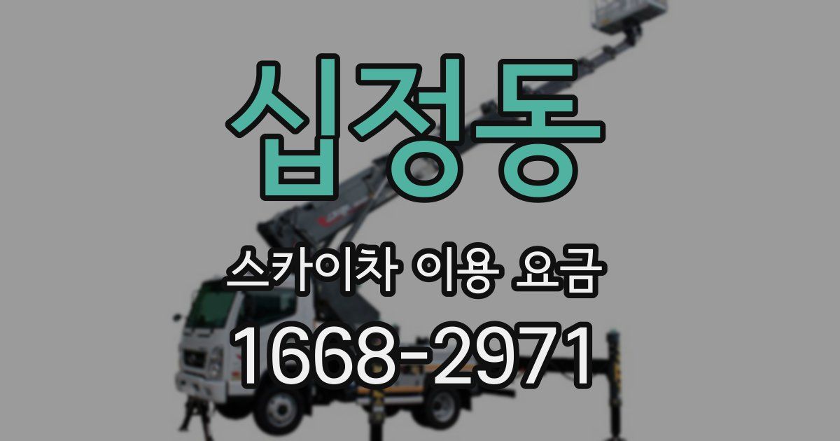 십정동 스카이차 이용 요금