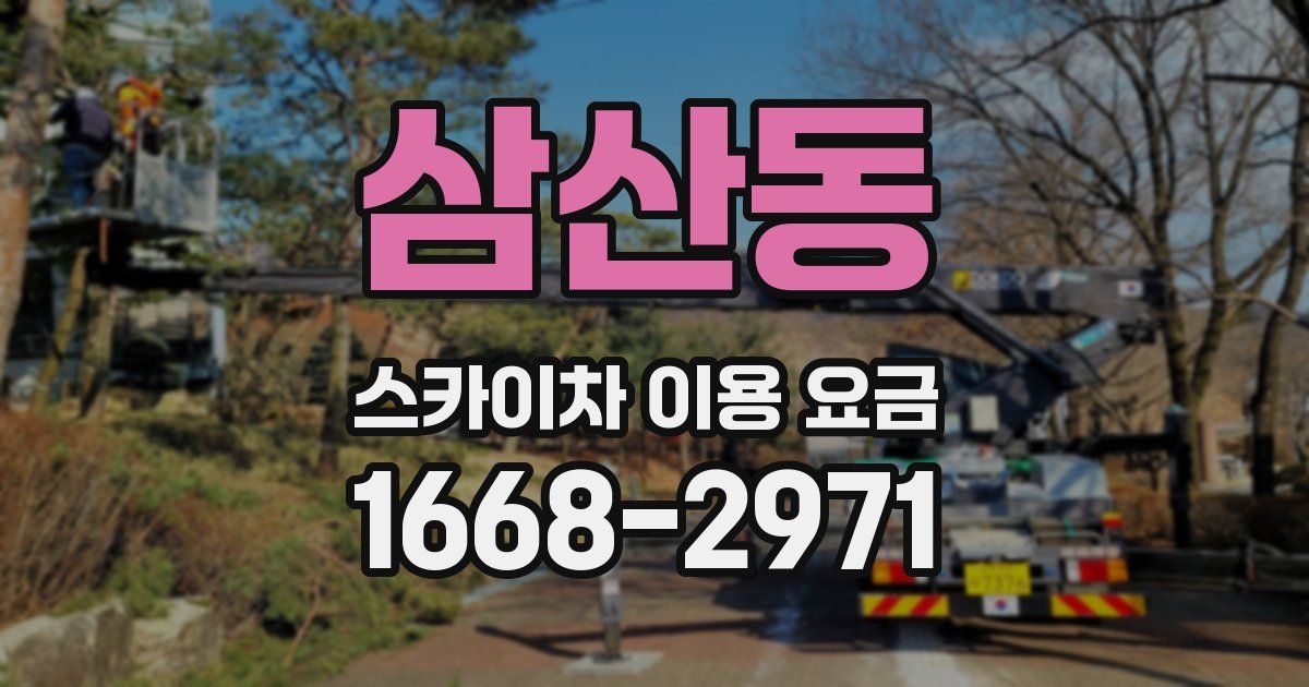 삼산동 스카이차 이용 요금