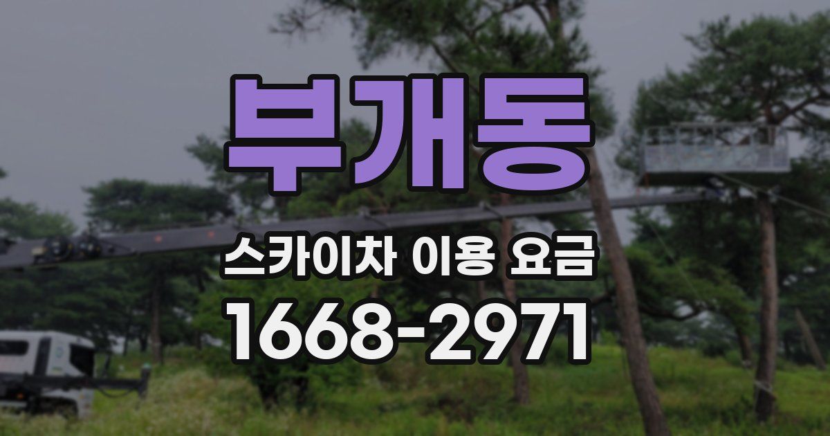 부개동 스카이차 이용 요금