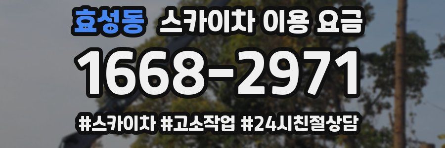 효성동 스카이차 이용 요금