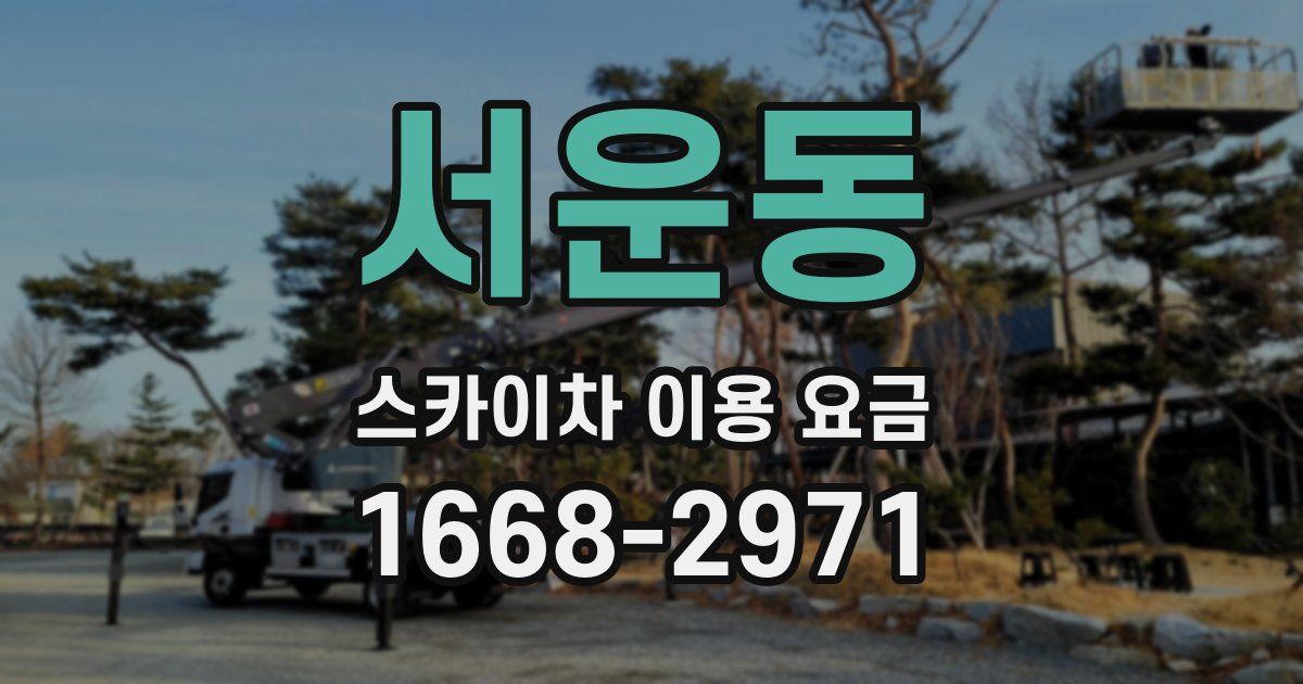 서운동 스카이차 이용 요금