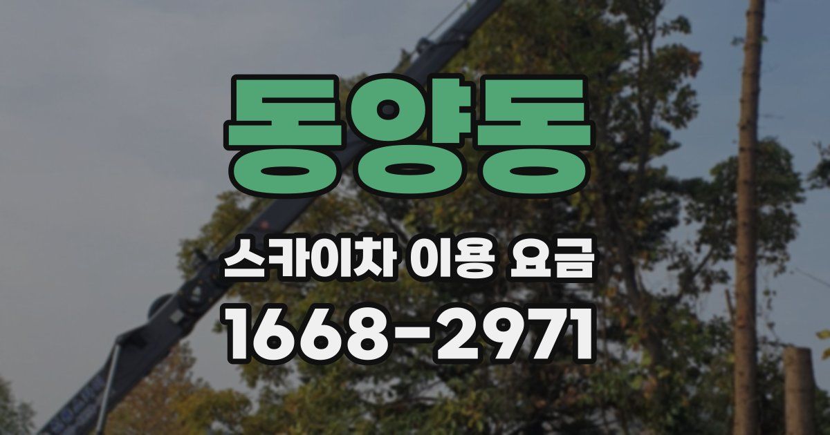 동양동 스카이차 이용 요금