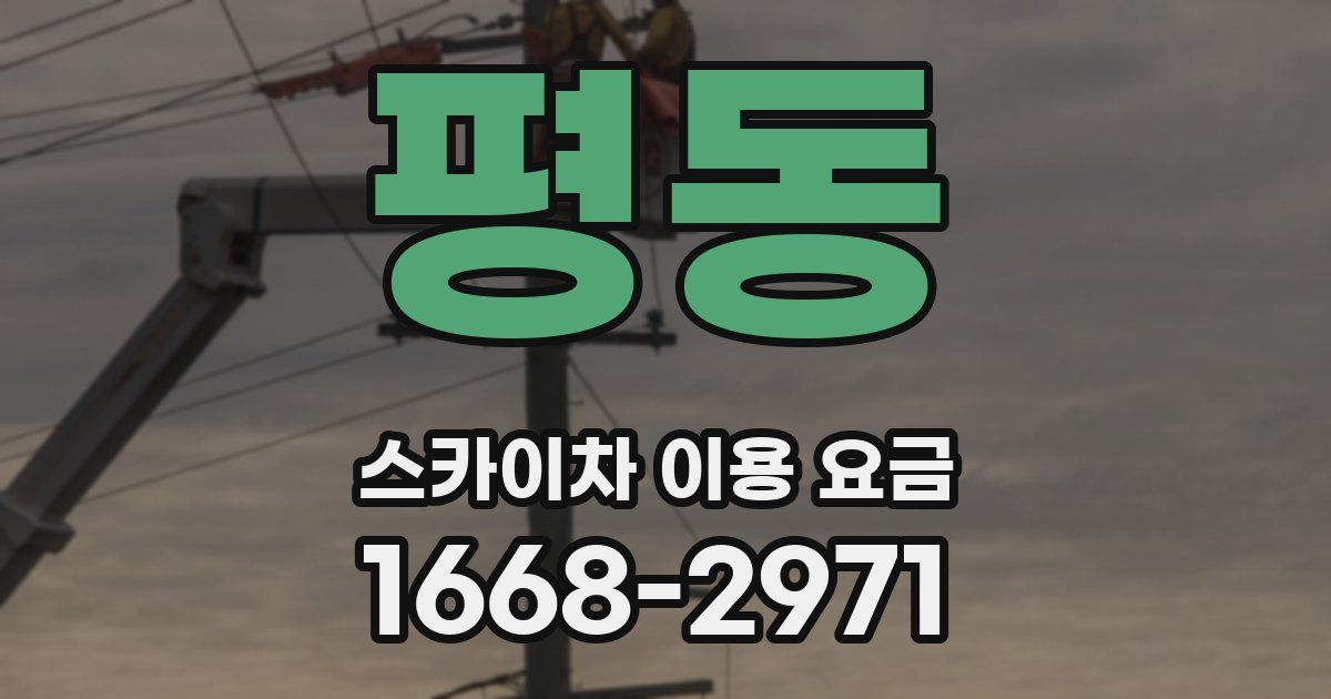 평동 스카이차 이용 요금