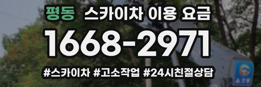 평동 스카이차 이용 요금