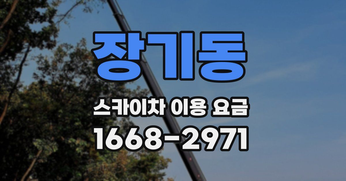 장기동 스카이차 이용 요금