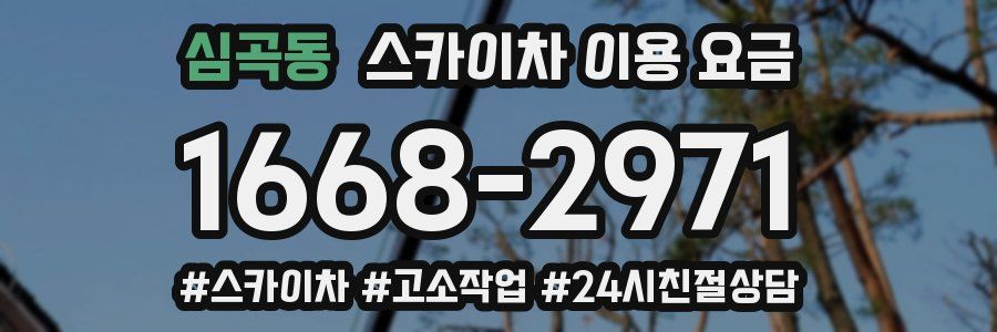 심곡동 스카이차 이용 요금