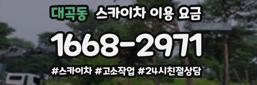 대곡동 스카이차 이용 요금