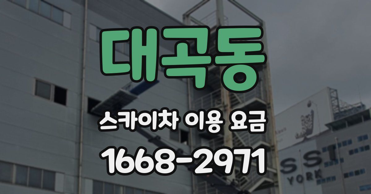 대곡동 스카이차 이용 요금
