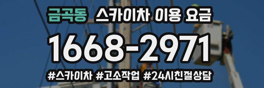금곡동 스카이차 이용 요금
