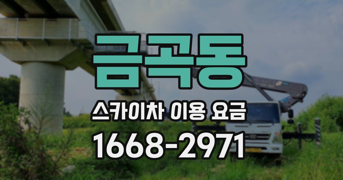 금곡동 스카이차 이용 요금
