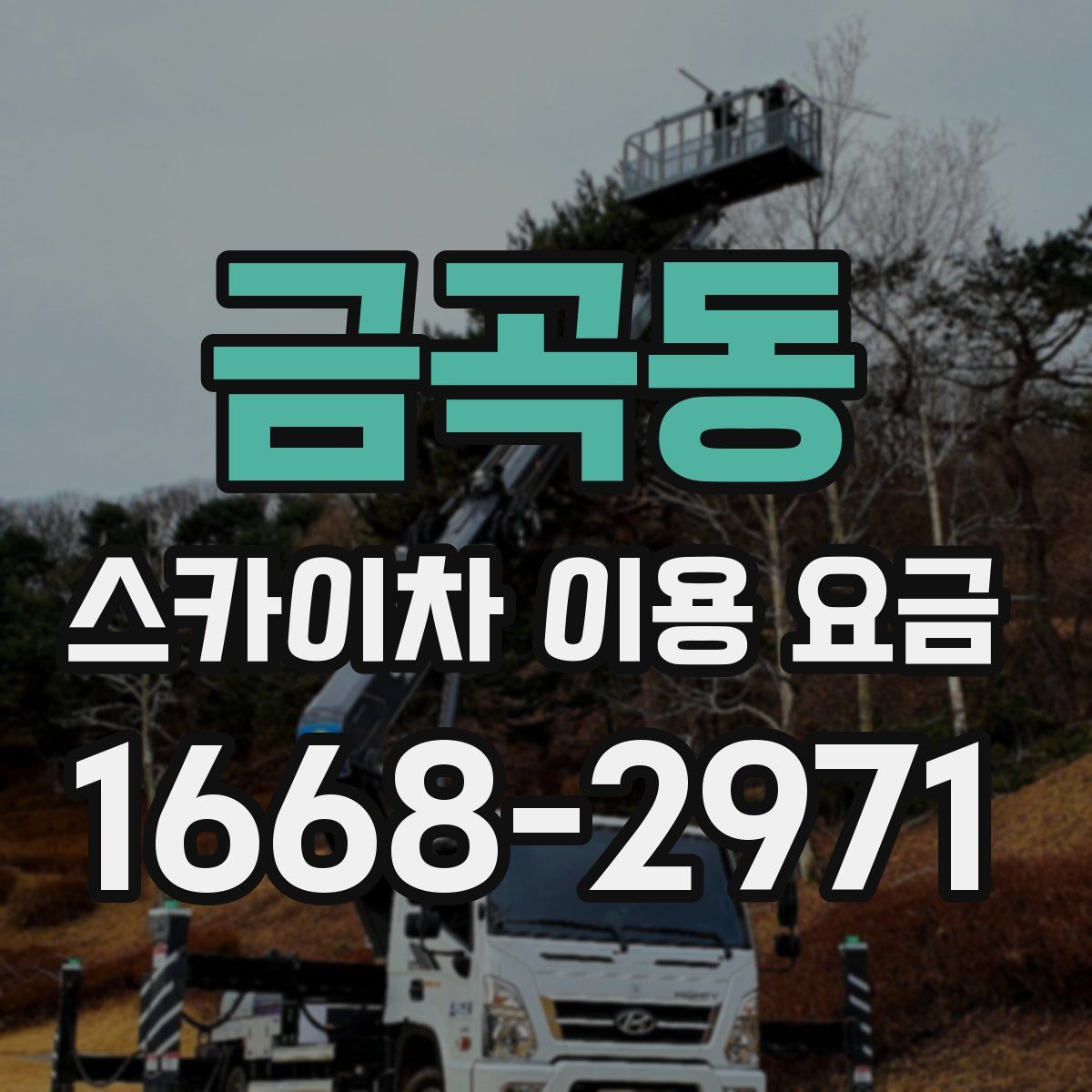 금곡동 스카이차 이용 요금