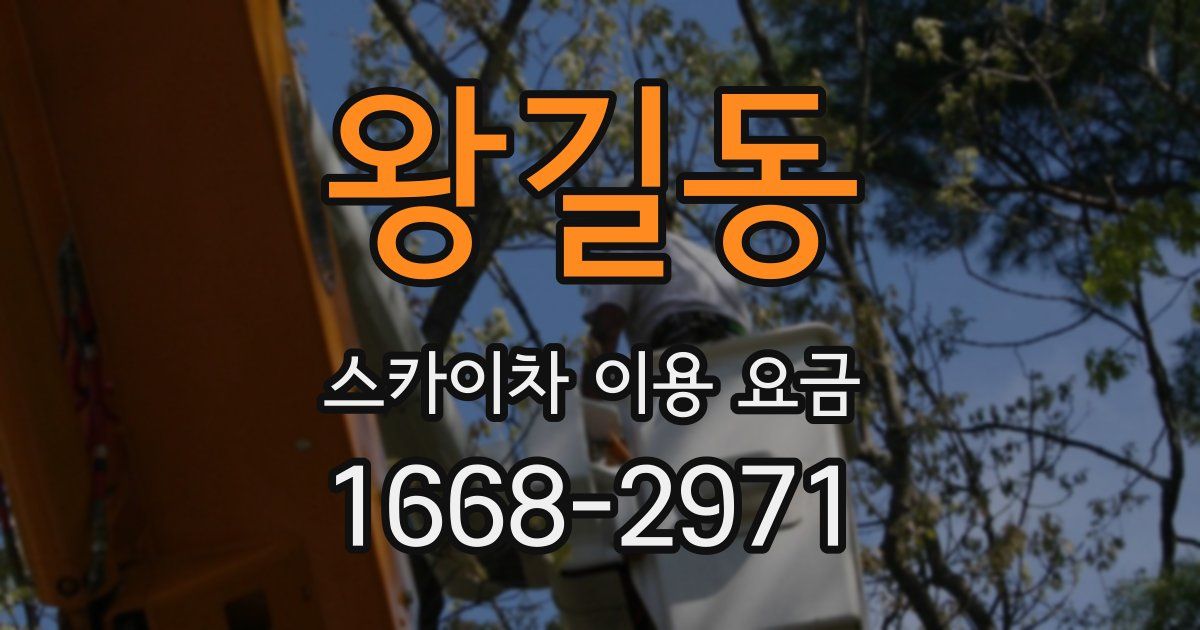 왕길동 스카이차 이용 요금