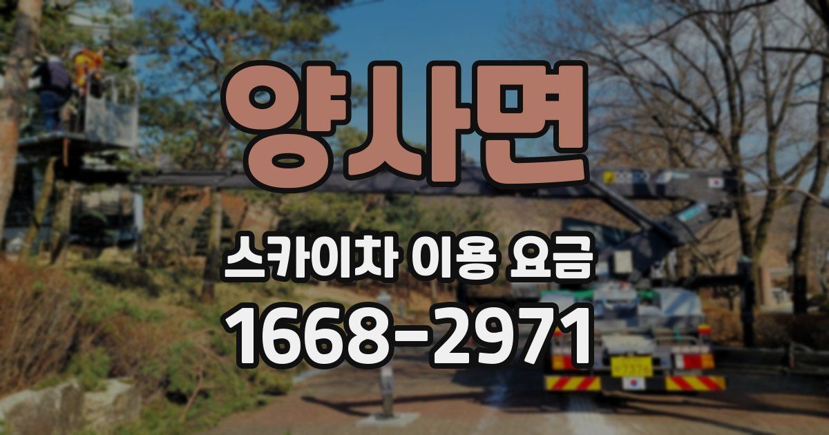 양사면 스카이차 이용 요금