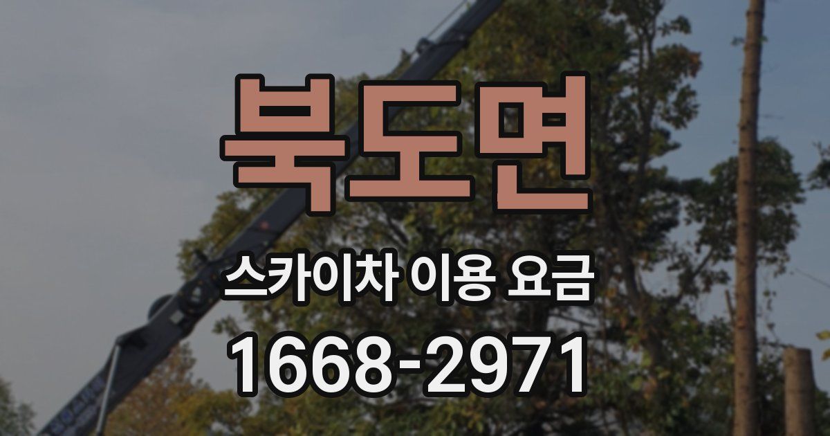 북도면 스카이차 이용 요금