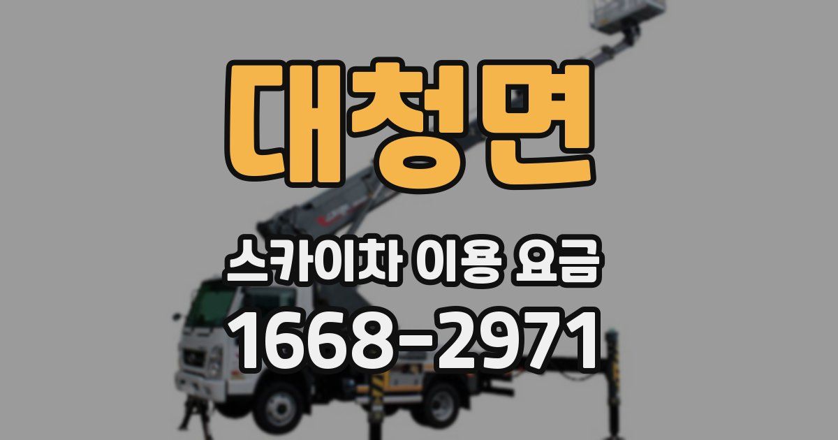 대청면 스카이차 이용 요금