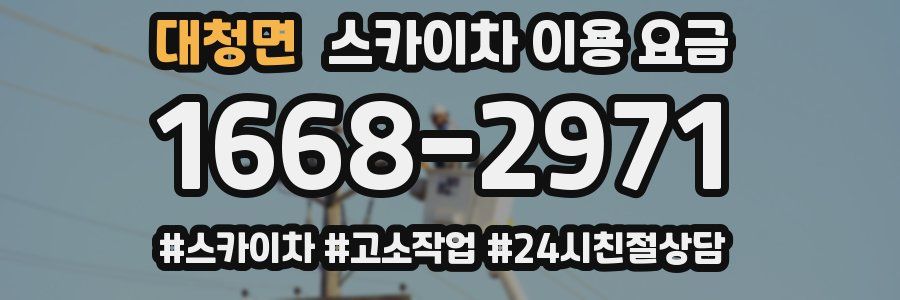 대청면 스카이차 이용 요금