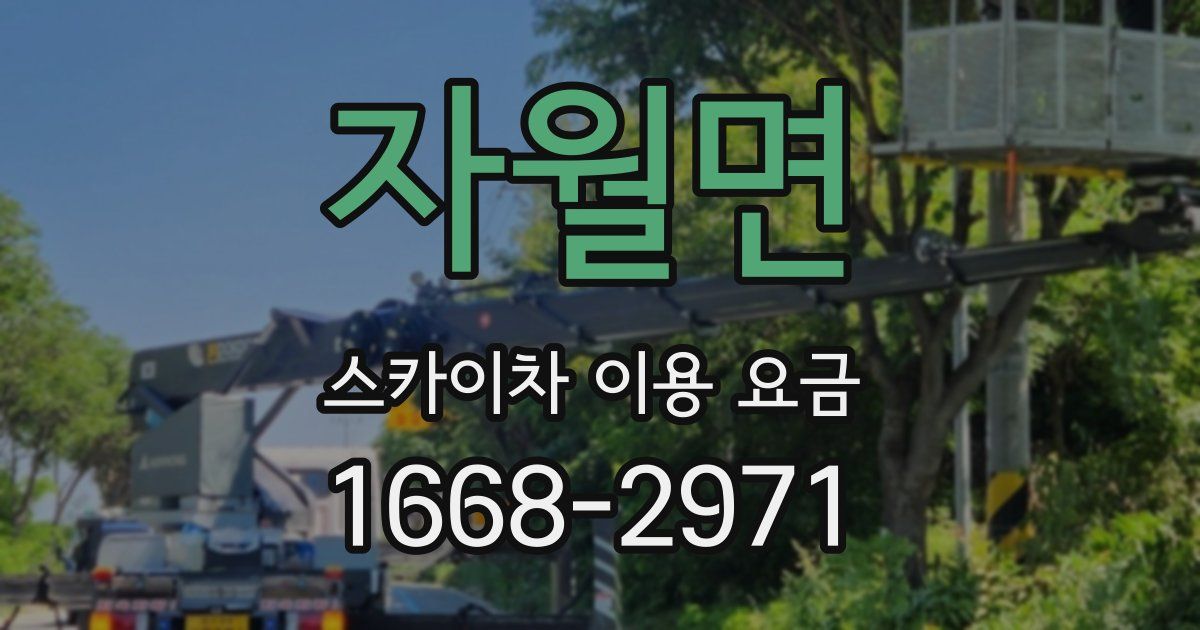 자월면 스카이차 이용 요금