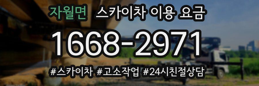 자월면 스카이차 이용 요금