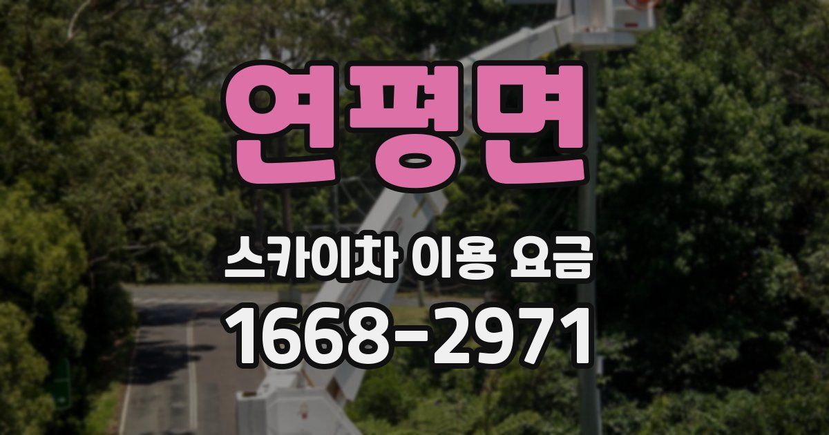 연평면 스카이차 이용 요금