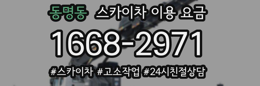 동명동 스카이차 이용 요금