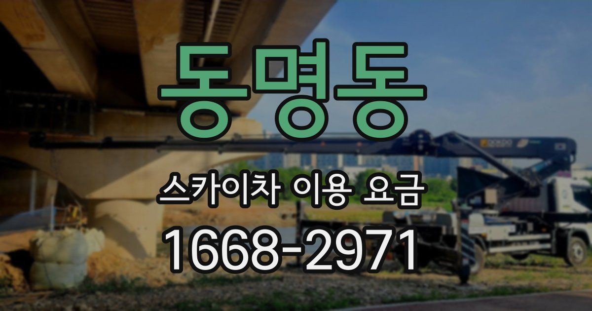 동명동 스카이차 이용 요금