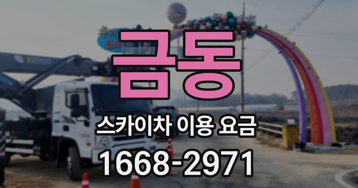 금동 스카이차 이용 요금