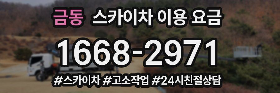 금동 스카이차 이용 요금