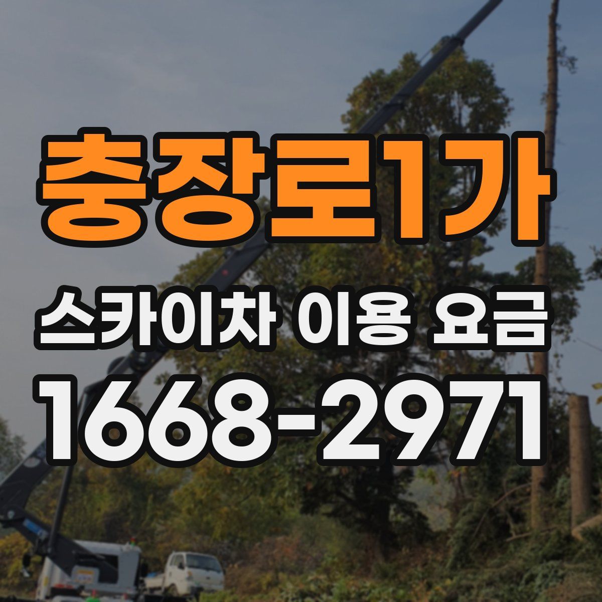 충장로1가 스카이차 이용 요금