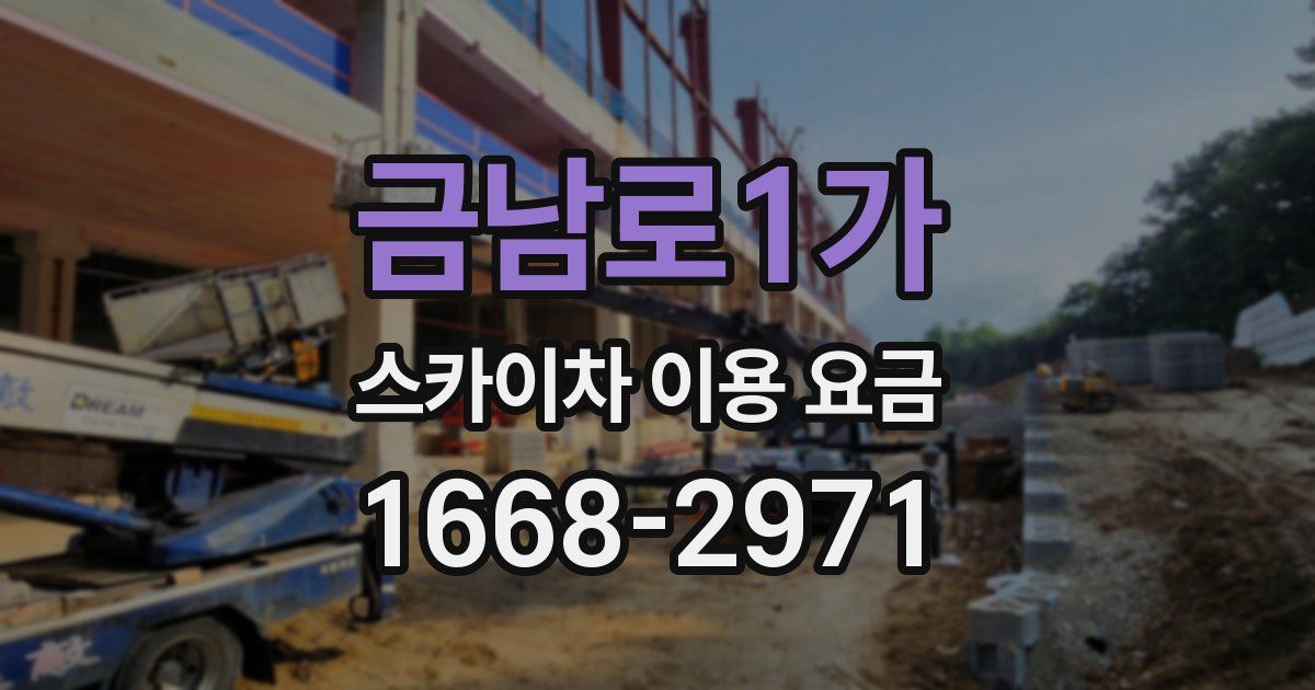 금남로1가 스카이차 이용 요금