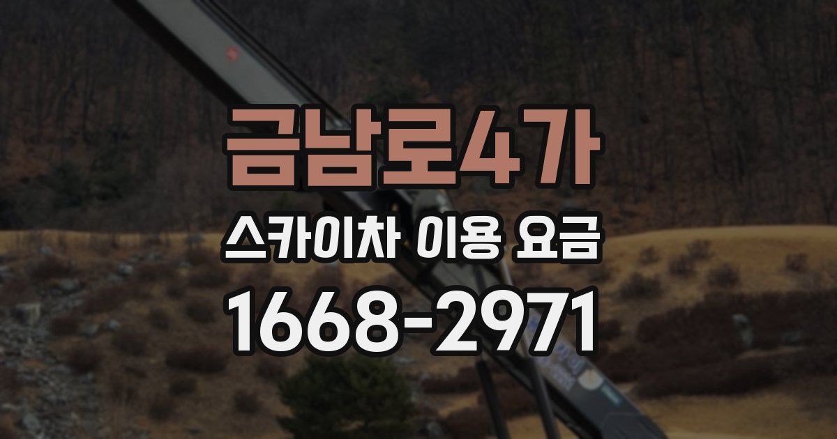 금남로4가 스카이차 이용 요금
