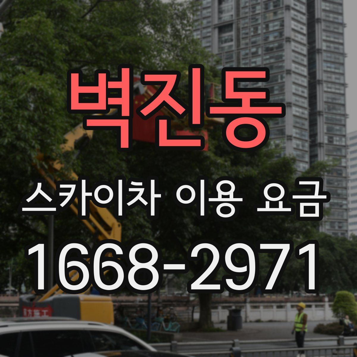 벽진동 스카이차 이용 요금
