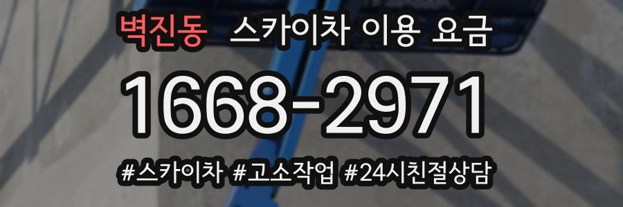 벽진동 스카이차 이용 요금