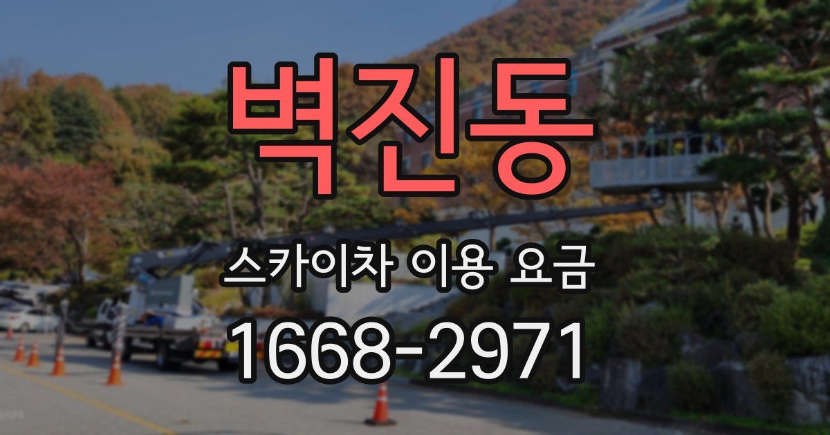 벽진동 스카이차 이용 요금