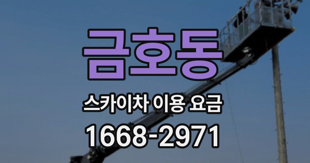 금호동 스카이차 이용 요금
