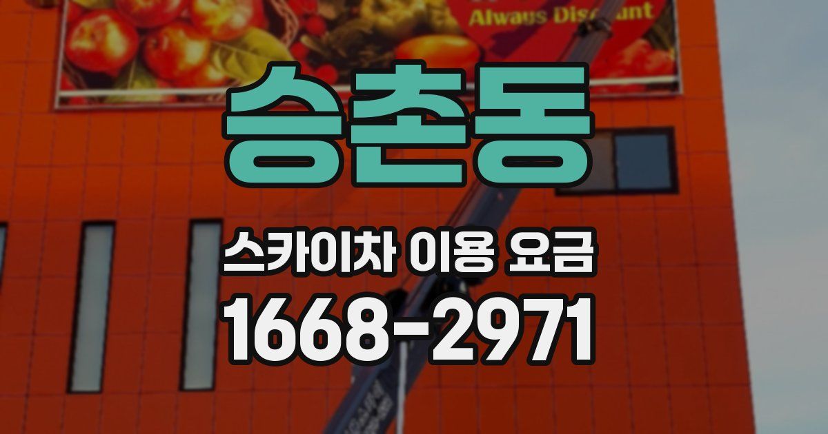 승촌동 스카이차 이용 요금