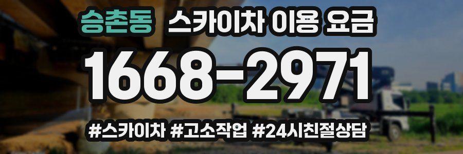 승촌동 스카이차 이용 요금