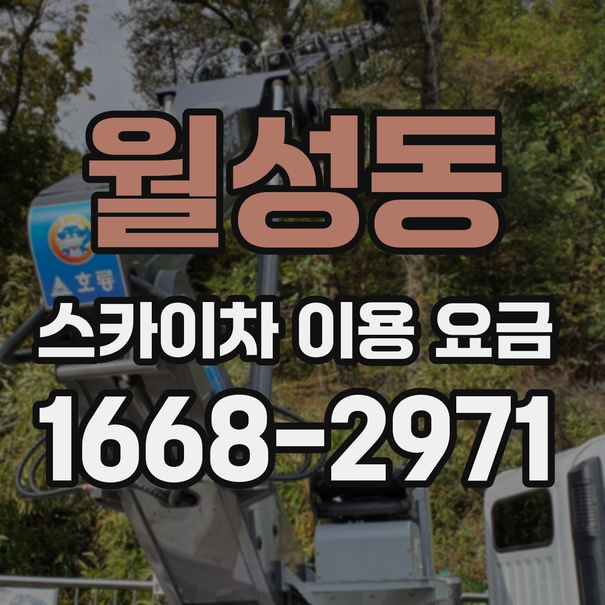 월성동 스카이차 이용 요금