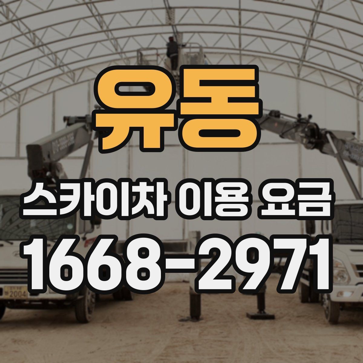 유동 스카이차 이용 요금 확인 후 계약 전 점검 사항