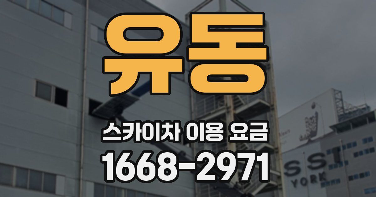 유동 스카이차 이용 요금