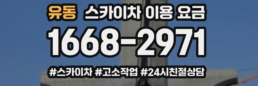 유동 스카이차 이용 요금