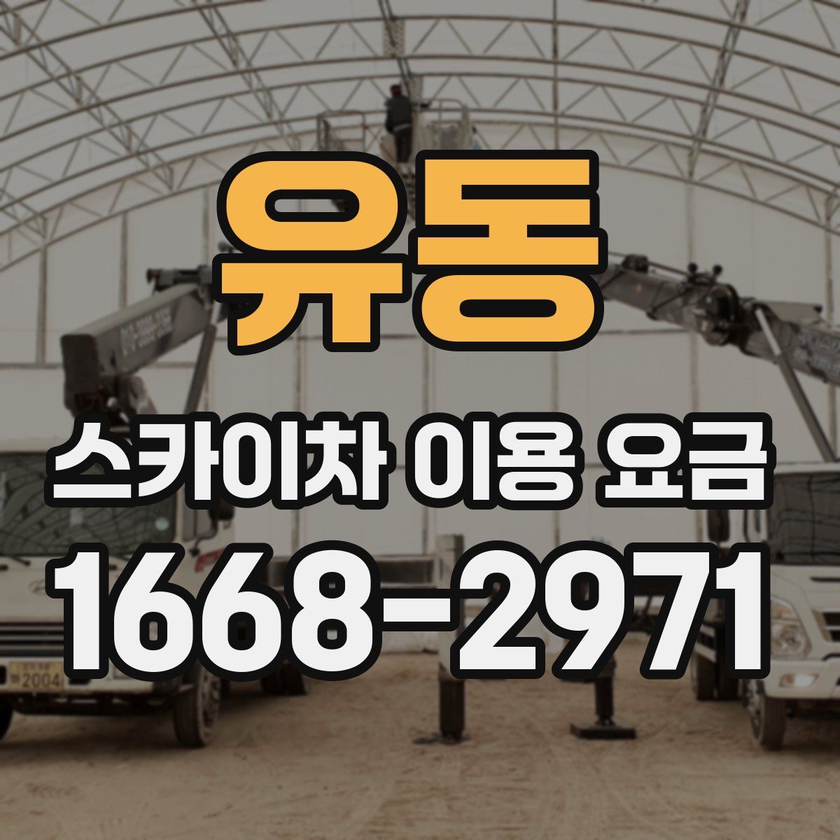 유동 스카이차 이용 요금