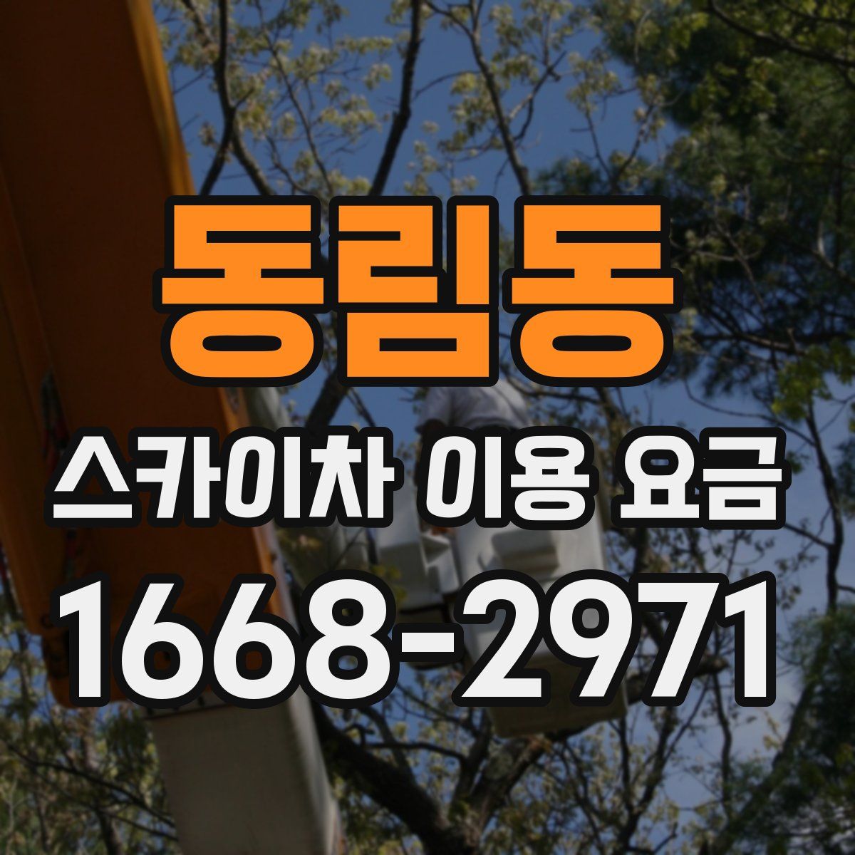 동림동 스카이차 이용 요금