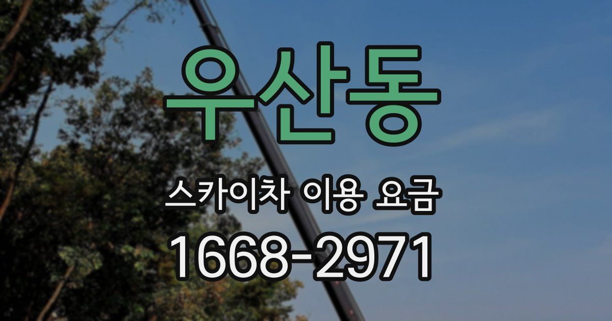 우산동 스카이차 이용 요금