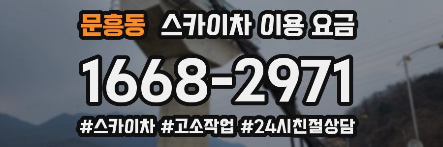 문흥동 스카이차 이용 요금