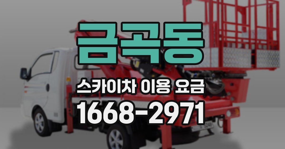 금곡동 스카이차 이용 요금