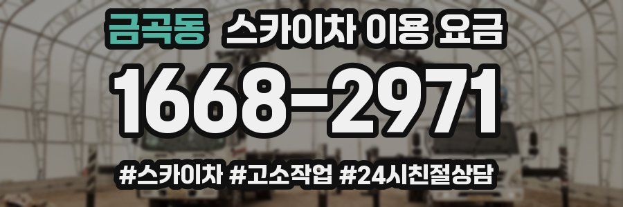 금곡동 스카이차 이용 요금