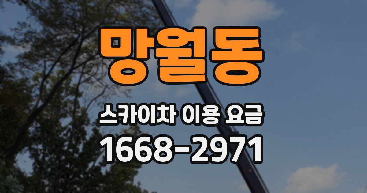망월동 스카이차 이용 요금